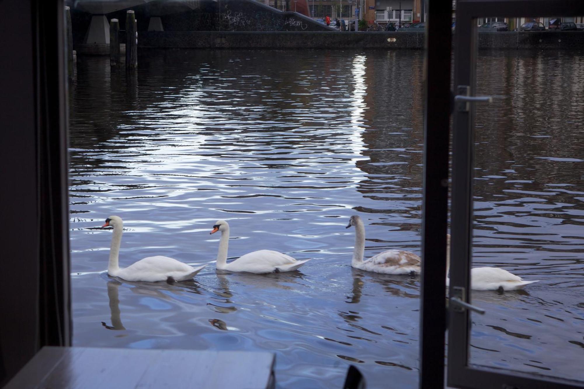 Houseboat Little Amstel Hotel Amsterdam Bagian luar foto